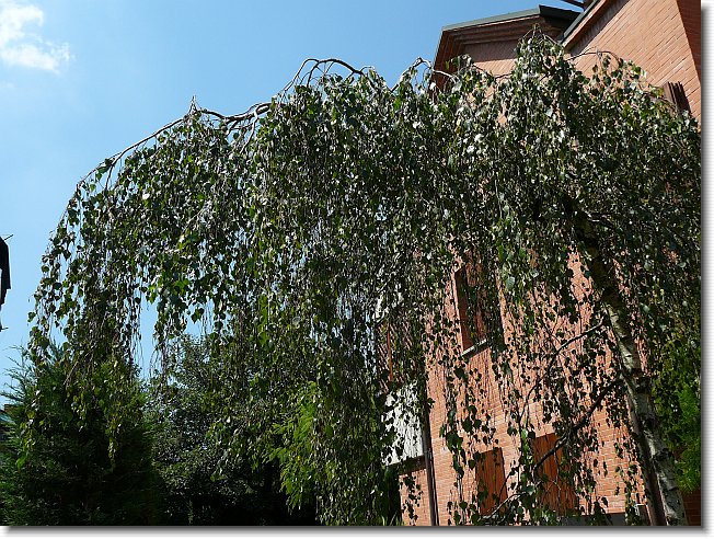 Clicca per scorrere le foto originali ingrandite